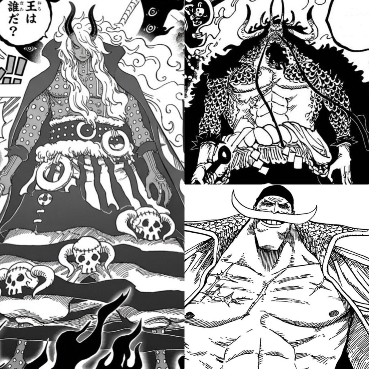 monkey D dorky 👾 tweet media