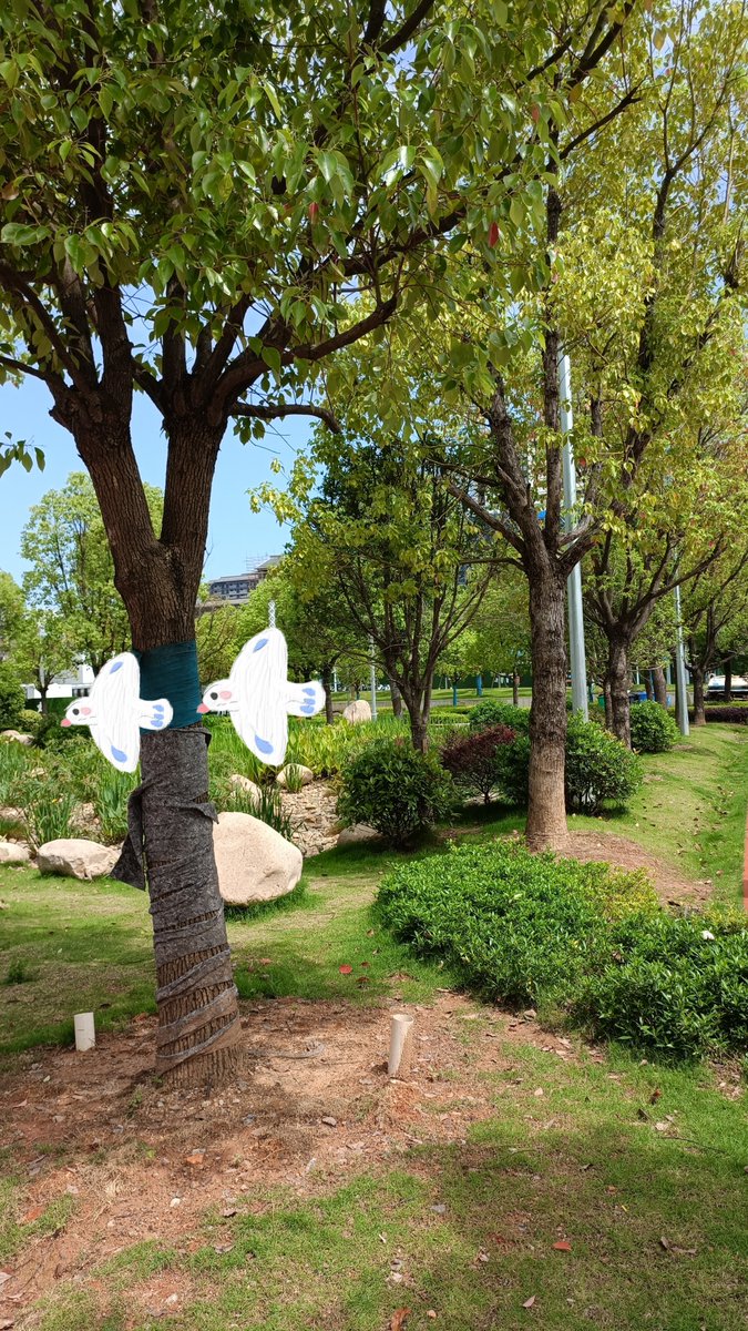 8SKbKqArTQuq58k's tweet image. " Neighborly Clean-Up Day! Join us this Sat (10am) at Maple Park—bring gloves, take home snacks u0026 good vibes. Let’s make our community shine! Tag a friend  #CommunityLove #LocalHeroes"