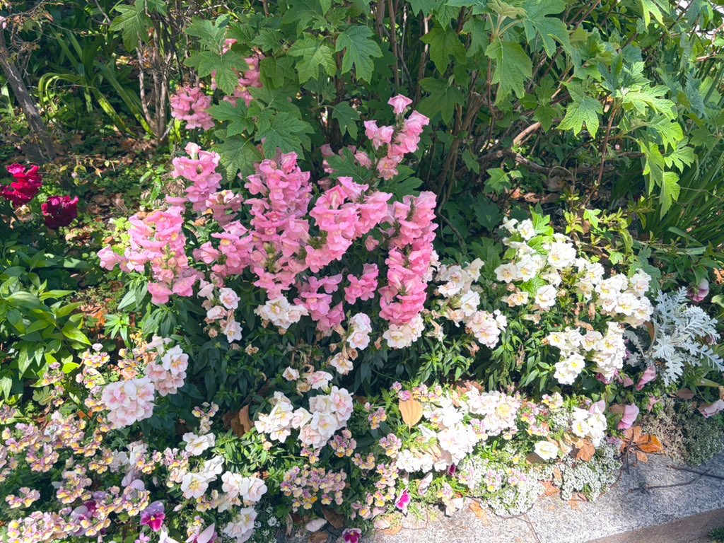 ひみつ tweet media