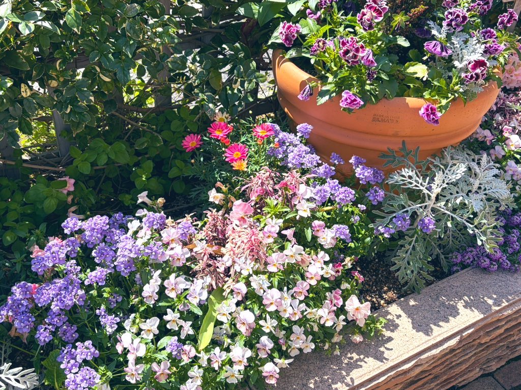 ひみつ tweet media