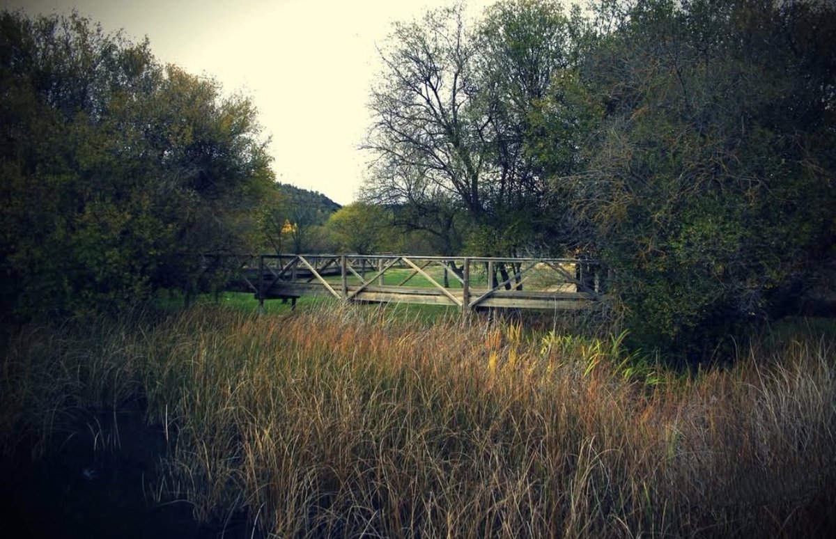 Erika  tweet media