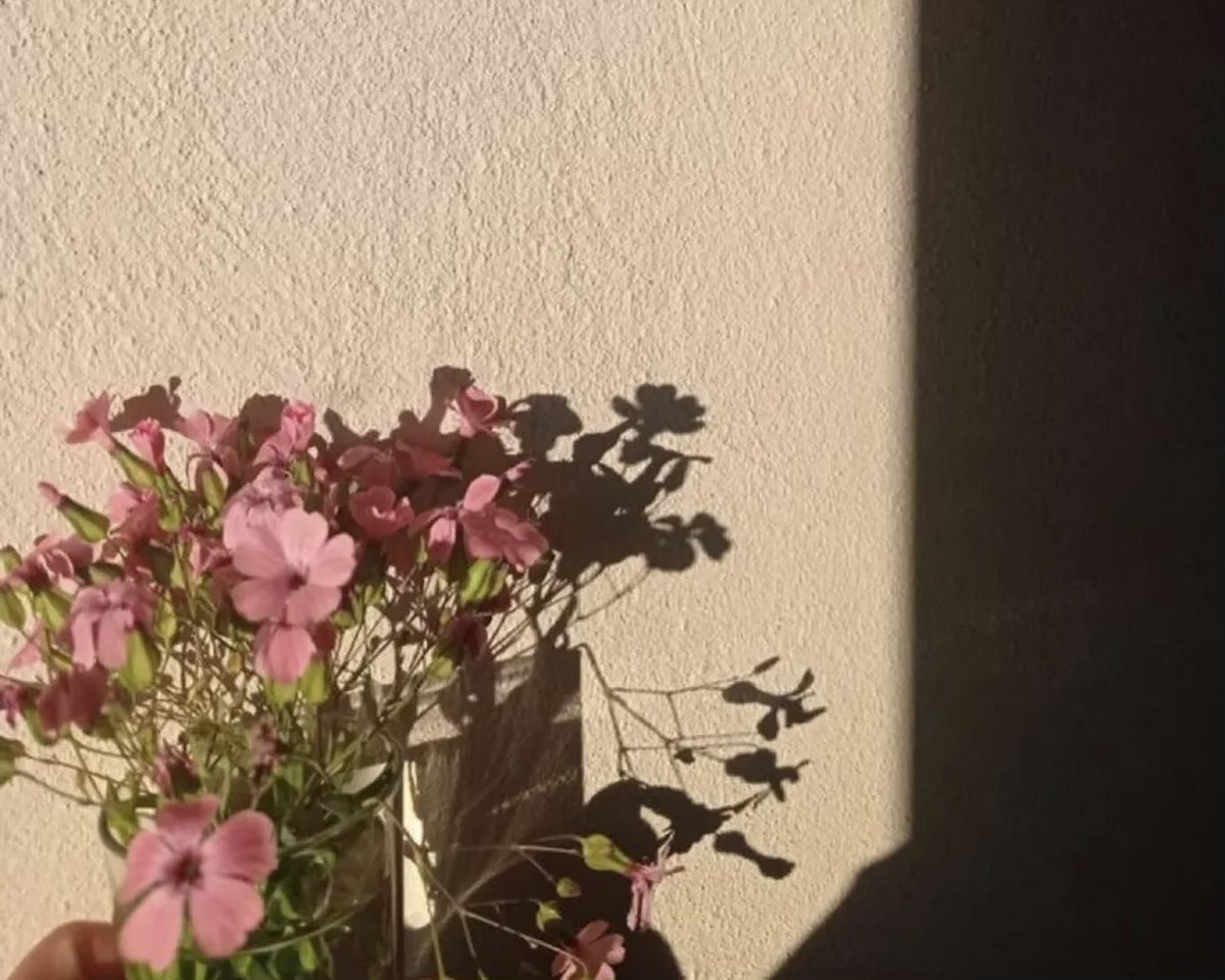 تيماء tweet media