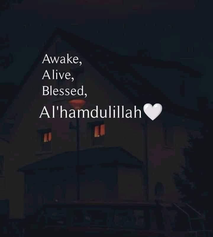 TEAONA🦅 tweet media