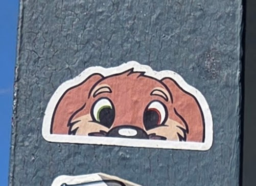 DaStinkySkunk's tweet photo. Soooo who's Peek is this?
Spotted at a pizza place 
#babyfur #abdl https://t.co/NXhdvIp6CQ