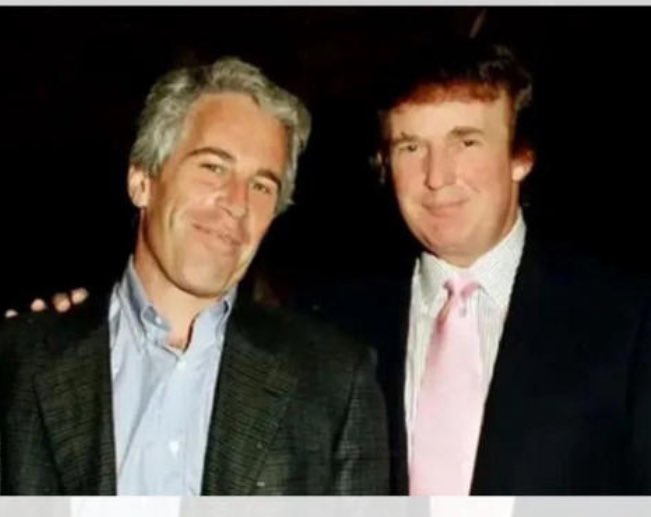 winifred meyers tweet media