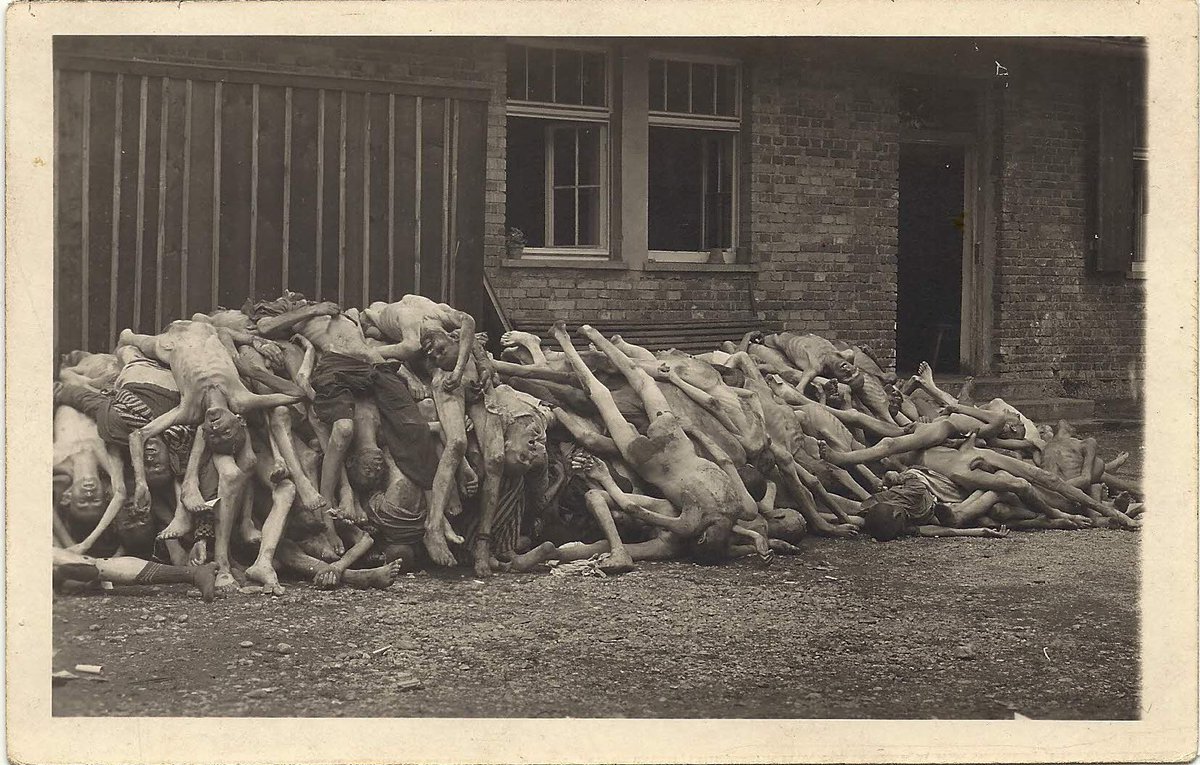 Jewish Zionist tweet media