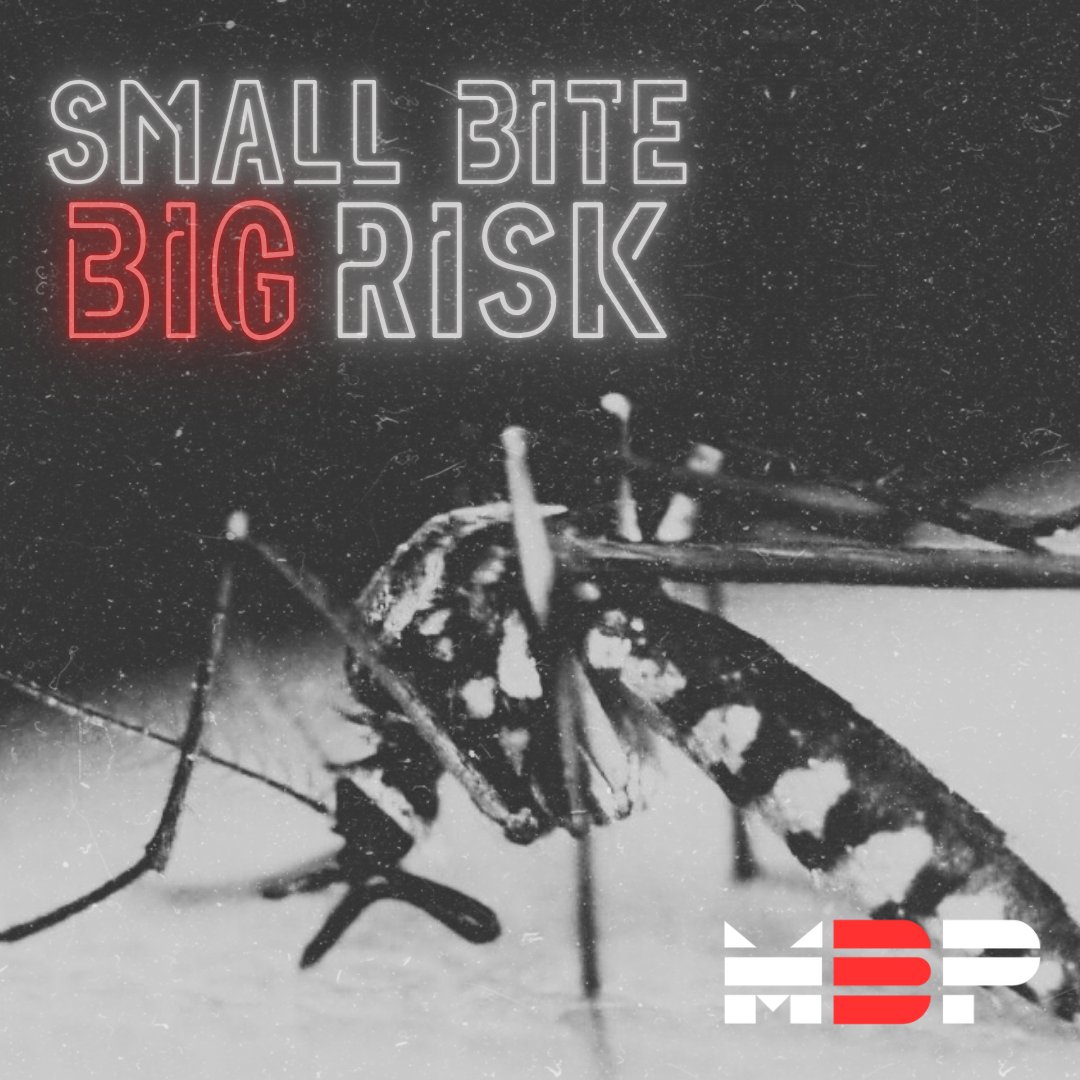 MARUTIBRASSPRO's tweet photo. A mosquito may be small, but the risk is not.

In 2023, malaria affected 263 million people worldwide and caused 597,000 deaths. India reported over 2.27 lakh cases.

Keep your place mosquito-free through regular checks, clean drainage, and no stagnant water. https://t.co/x8qCSQSMai