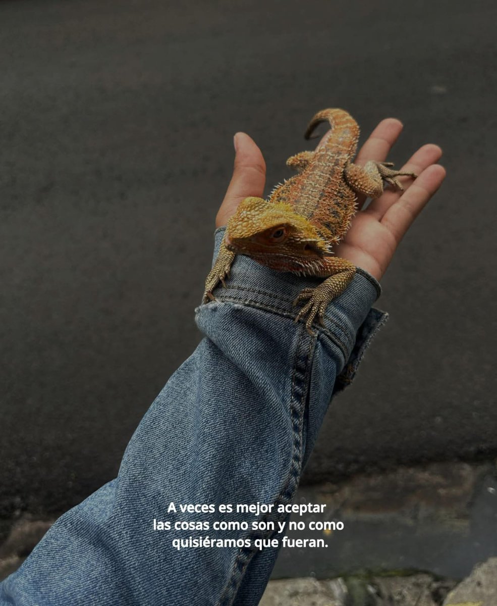 Reflexiones🌧 (@dark_uf_) on Twitter photo 