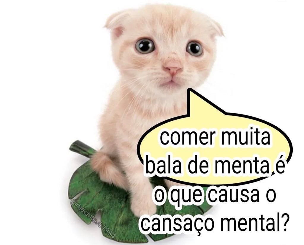ʇ ǝ s ǝ ɹ (@IsmaelMoreiraD7) / Posts / X