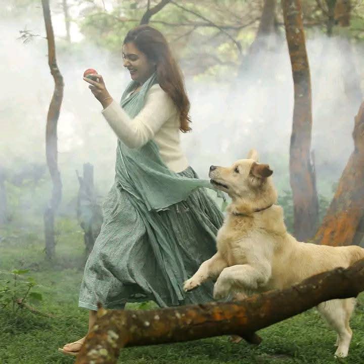 VaVaVooomV's tweet photo. Nazriya ❤️
#Koode https://t.co/n83t9p3MWe