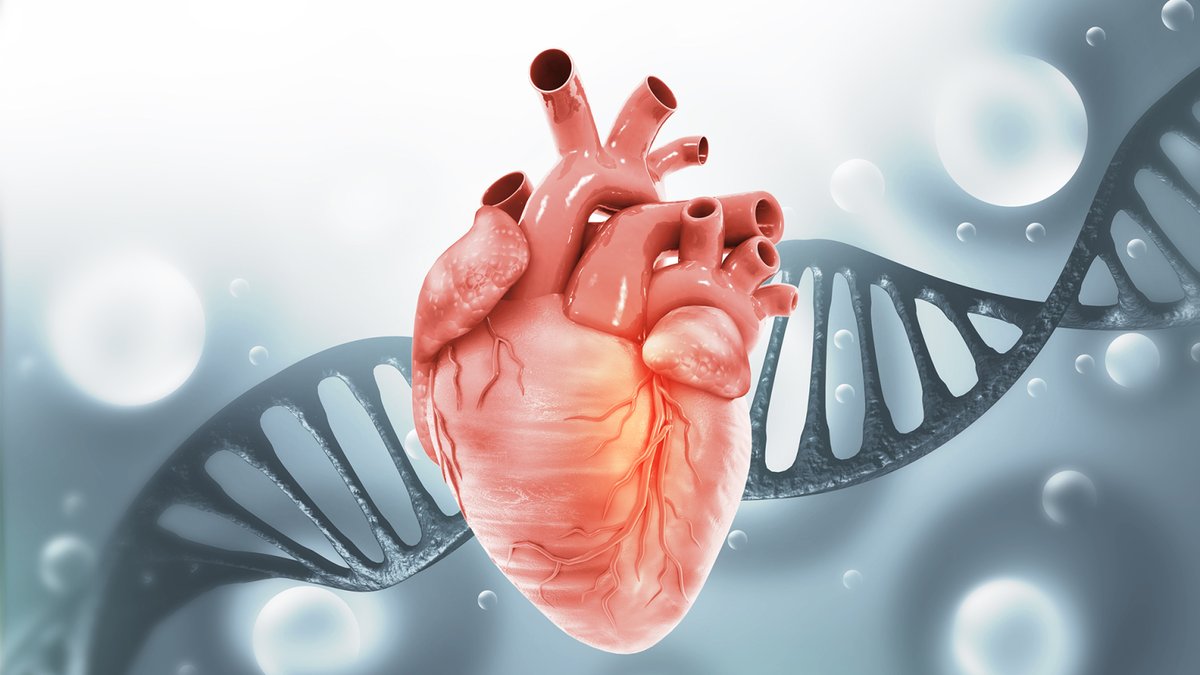 MENAFN's tweet image. Most People With A Genetic Condition That Causes Significantly High Cholesterol Go Undiagnosed, Mayo Clinic Study Finds #Most #People #Genetic #Condition #That #Causes #Significantly #Cholesterol #Undiagnosed, #Mayo #Clinic #Study #Finds #USA #Russia… dlvr.it/TS3k90