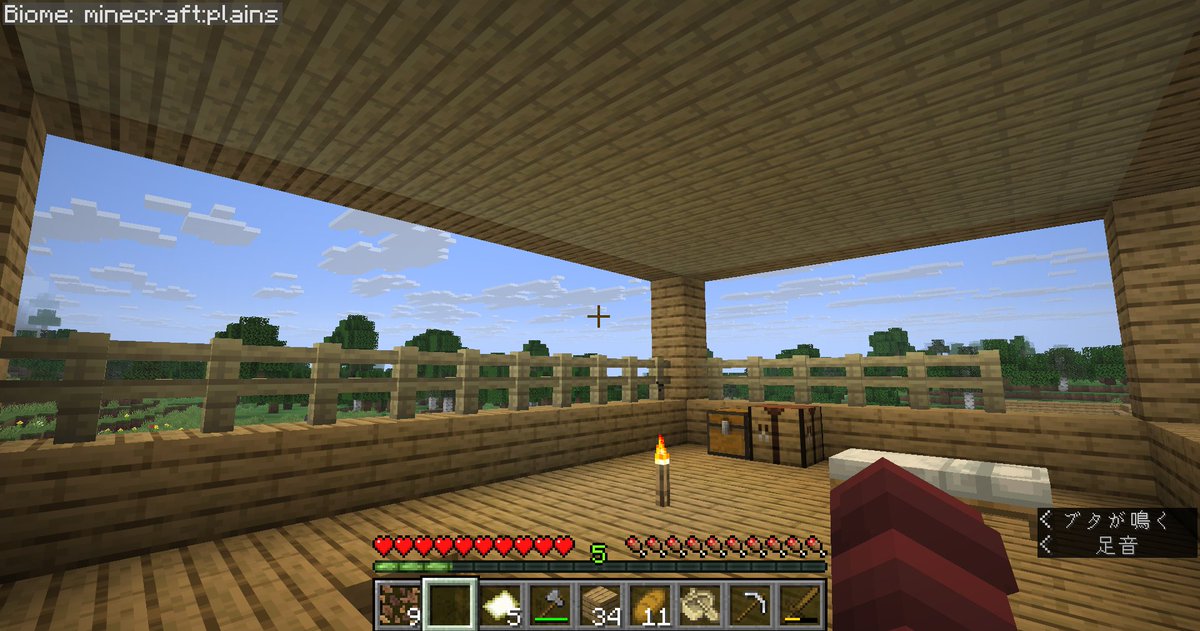 riann_pece's tweet photo. 本日の建築（笑）
いつもクリエイティブでやっていたからピースフルといえどサバイバルだとやっぱり素材集めが大変ですね( ;∀;)
広く移動しないところでぼちぼちやっていこう（笑）

＃マイクラ建築
＃マイクラ
＃マインクラフト https://t.co/lKdQPcXDvg
