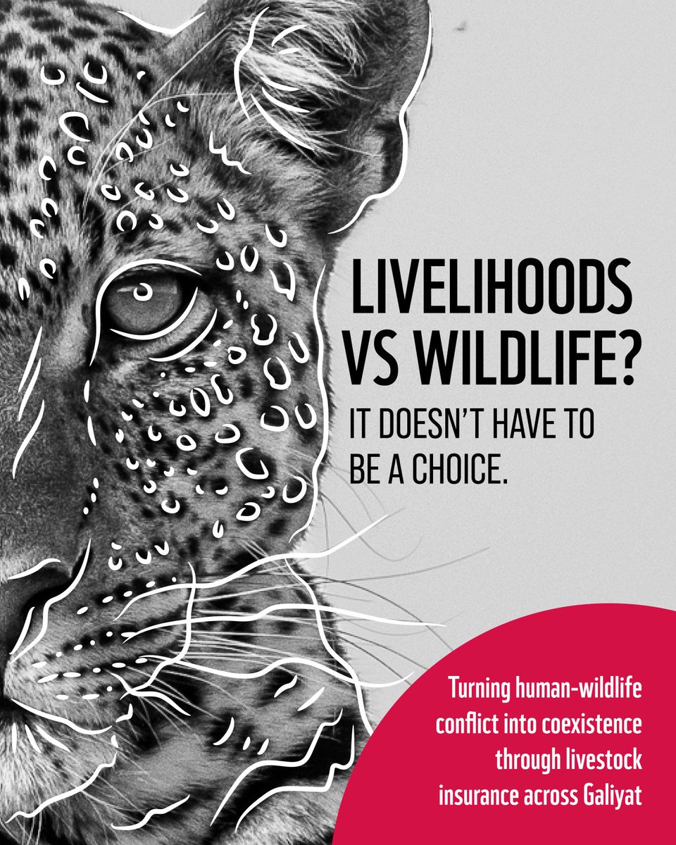 WWF-Pakistan tweet media