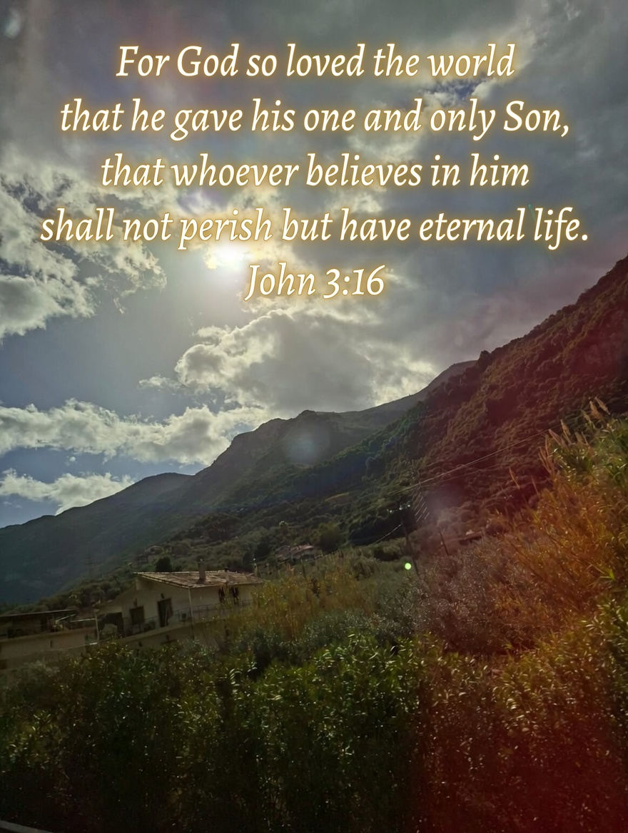 RobLogic tweet media