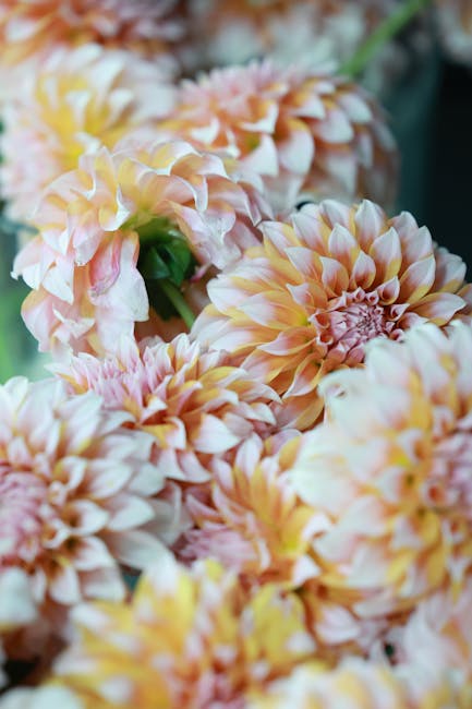 Michael Anderson tweet media