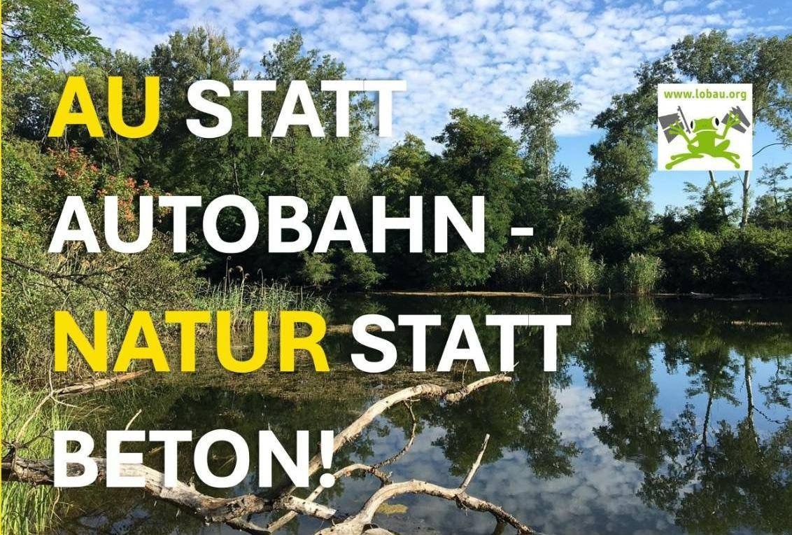 ParentsForFuture Austria tweet media