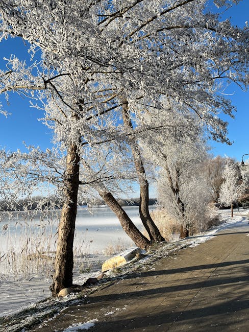 Samantha Walker tweet media