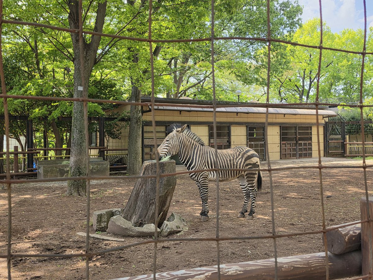 キスライ リポート公式（FMヨコハマ） tweet media