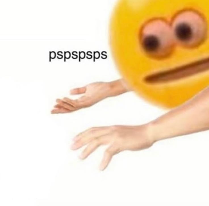 ‍ ‍ ‍ ‍ ‍‍ ‍𝒍𝒂‍ ‍‍𔘓‍ ‍‍𝐀𝐌𝐎𝐑𝐎𝐒𝐀. tweet media