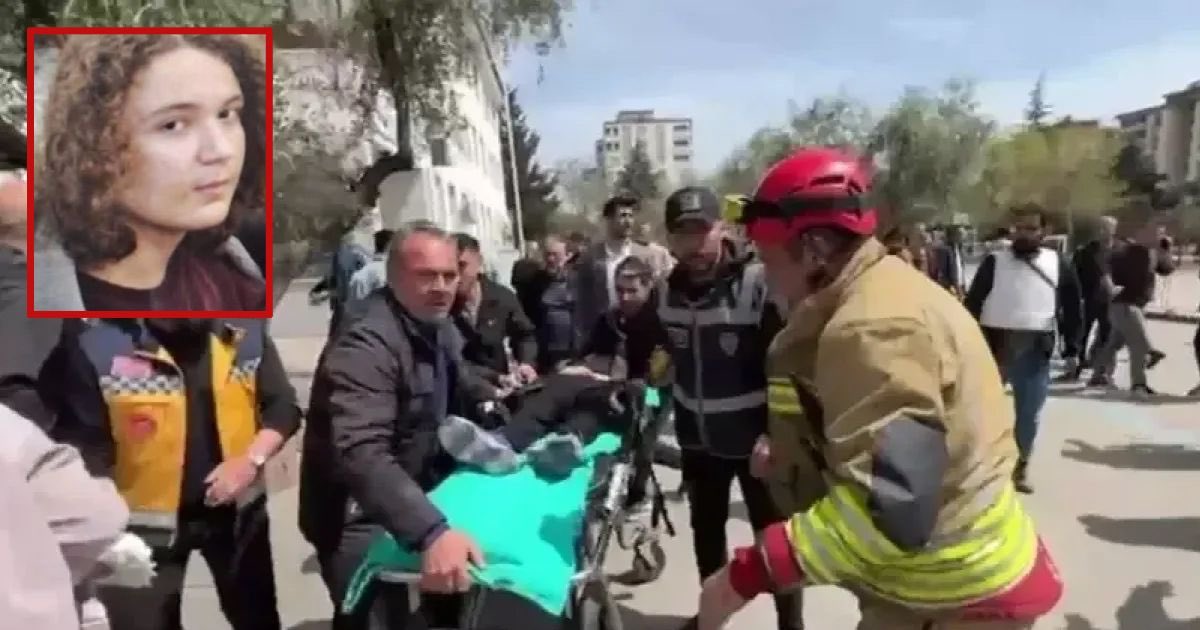 Fırat D. tweet media