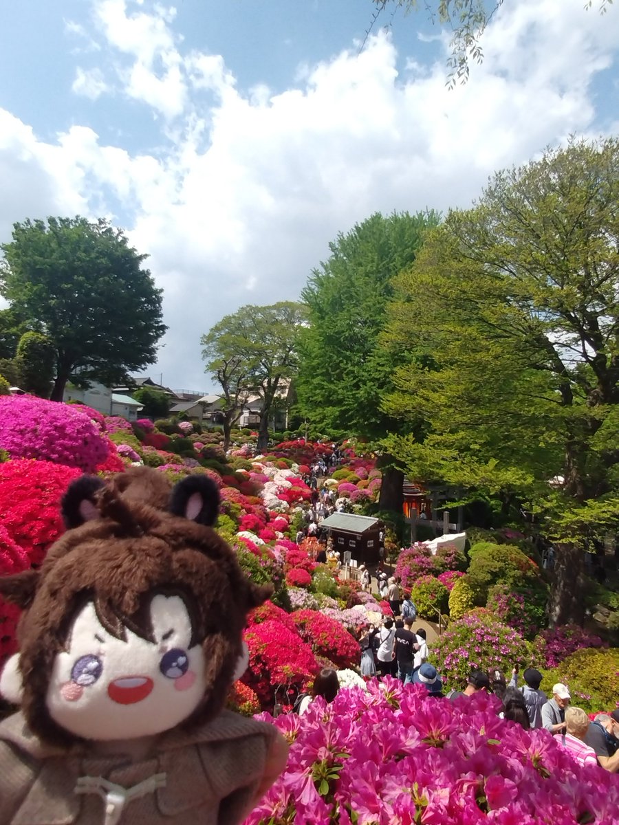 つつじ祭り〜🌸