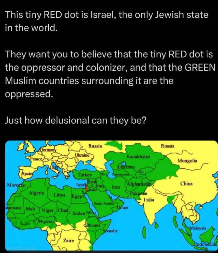 Sassafrass84 tweet media