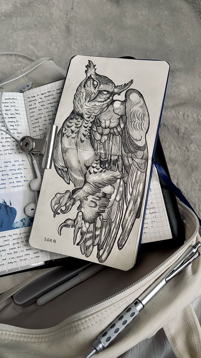 so6weoo's tweet image. an owl #art #traditionalarts #artist