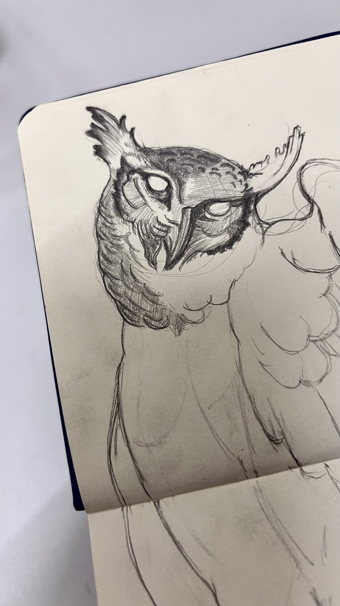 so6weoo's tweet image. an owl #art #traditionalarts #artist