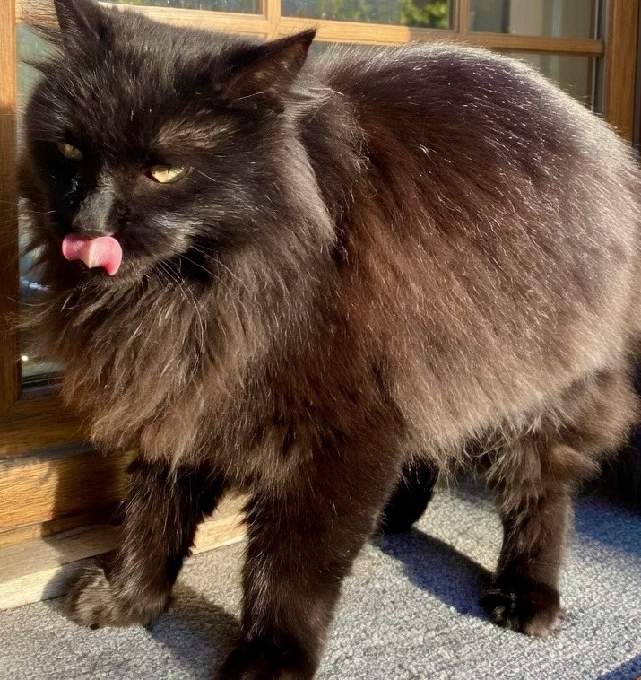 Инга tweet media