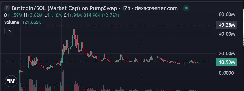 Dexconer空 空🐕 tweet media