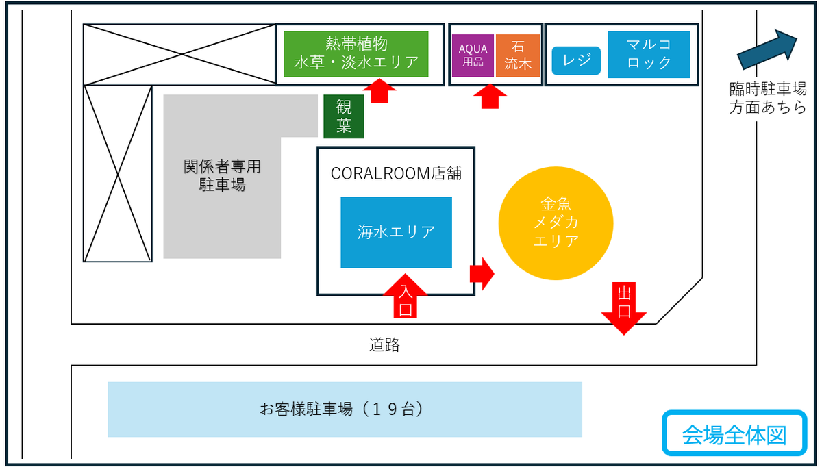 CORALROOM公式 tweet media