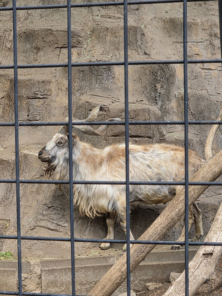 キスライ リポート公式（FMヨコハマ） tweet media