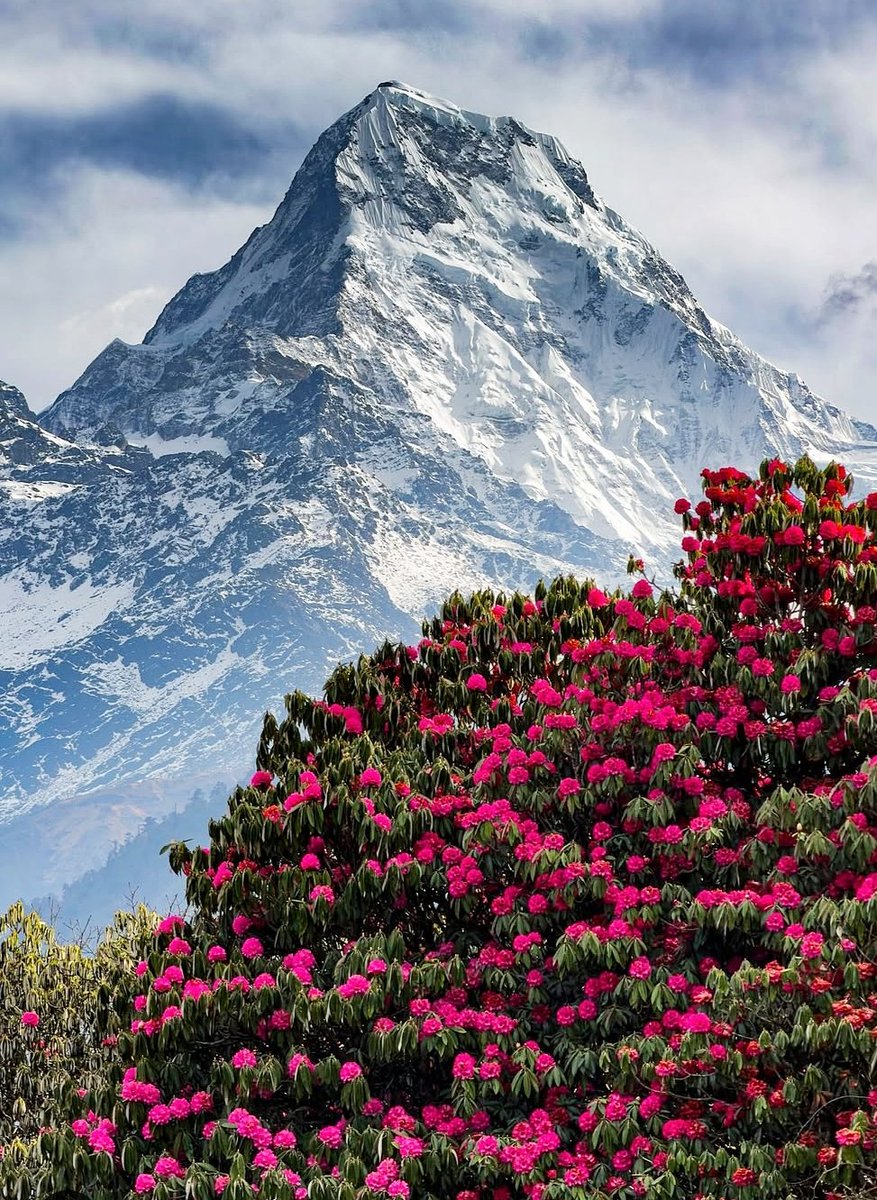 iamsayedul tweet media