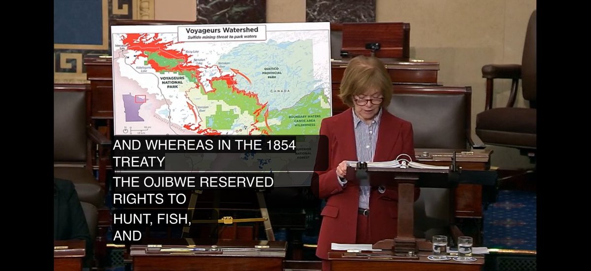 TheWildNorthTV's tweet image. Thank you for defending the #BWCA wilderness tonight @SenTinaSmith ! 🌲 💧