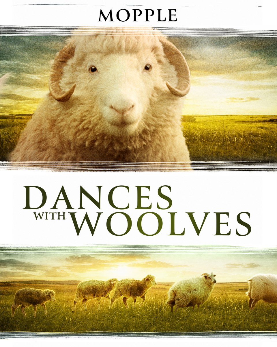 映画情報 オスカーノユクエ tweet media