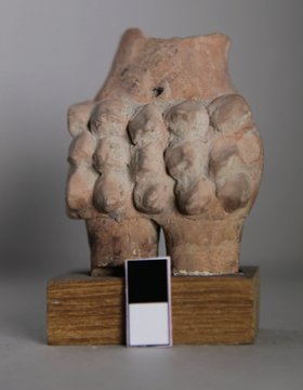 Jijñāsu tweet media