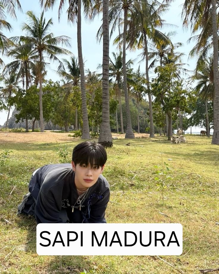 Hanbin. tweet media