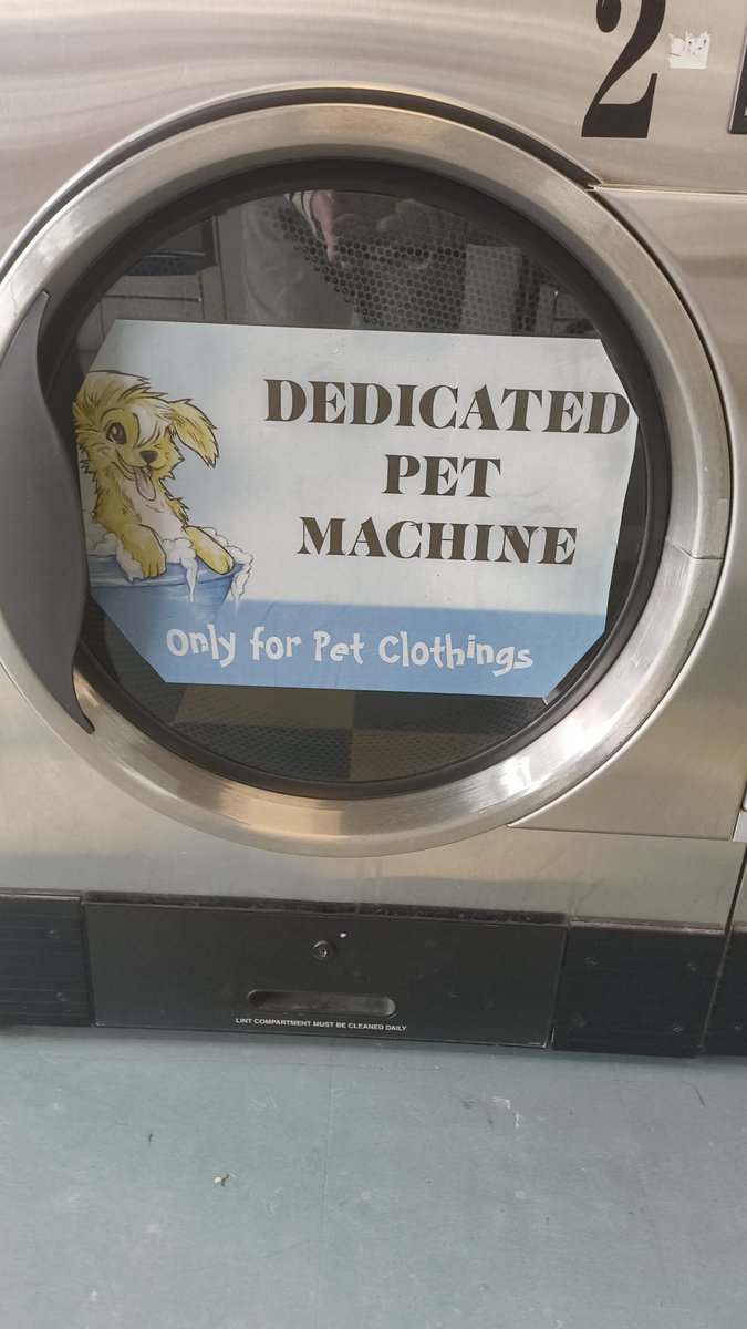 Lilly of the Dally tweet media