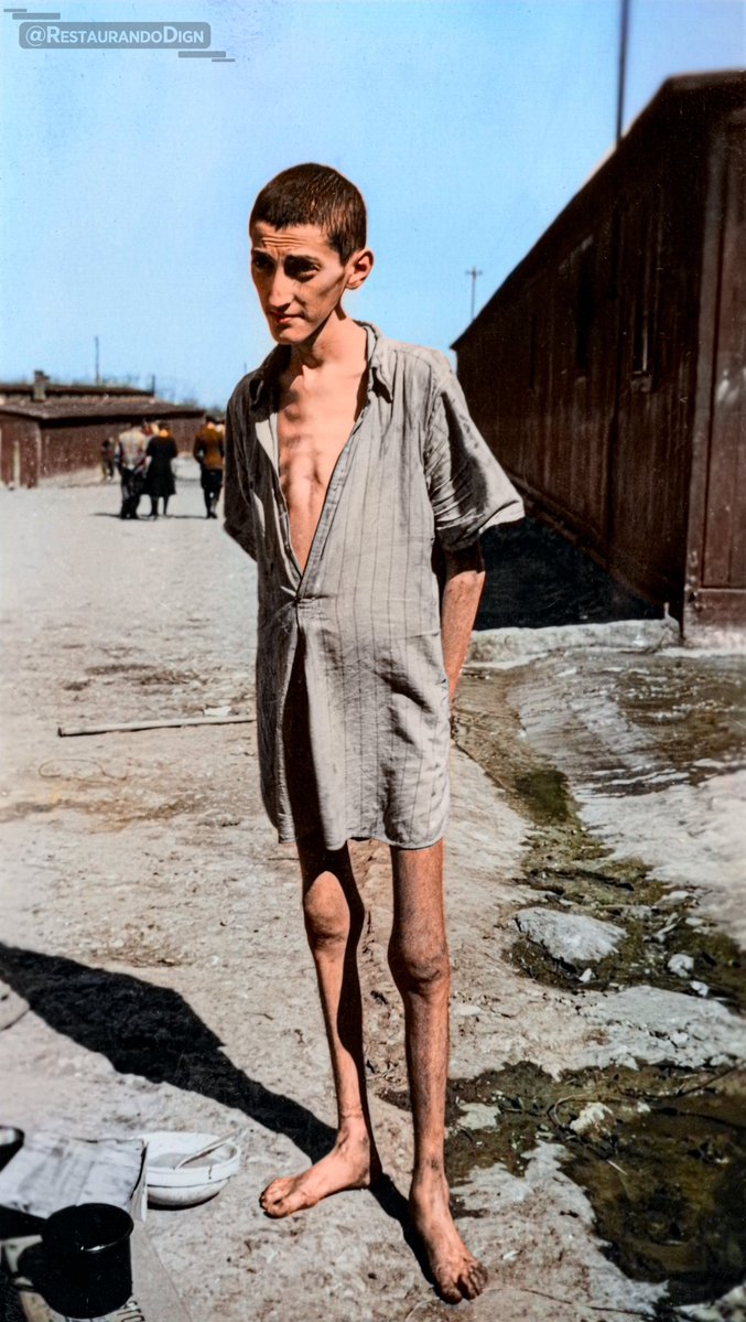 Jewish Zionist tweet media