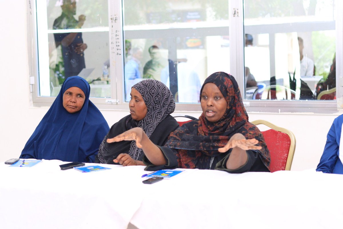Somaliland Y-PEER tweet media