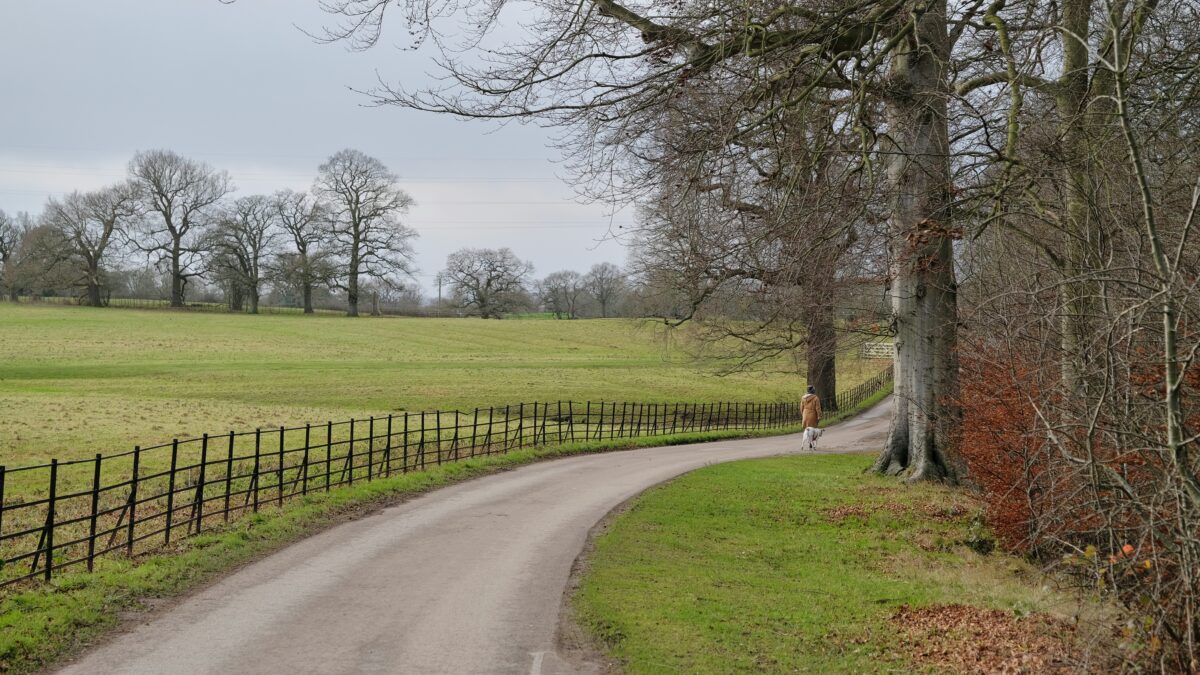 pv magazine tweet media