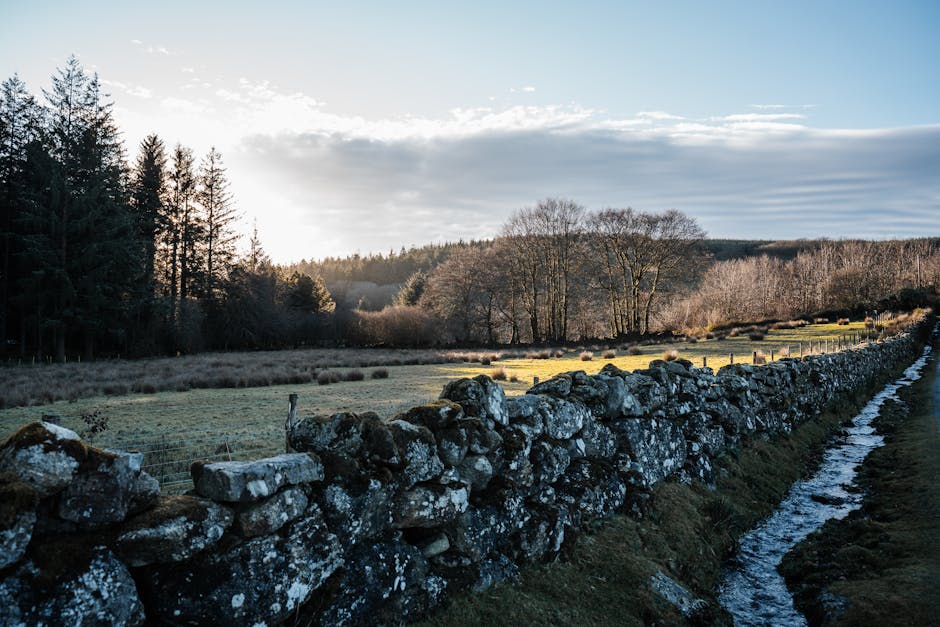 Andrew Morris tweet media