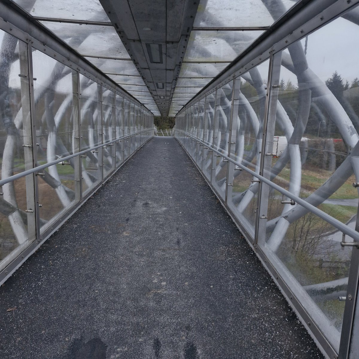 Dee and the dug 🐕 tweet media