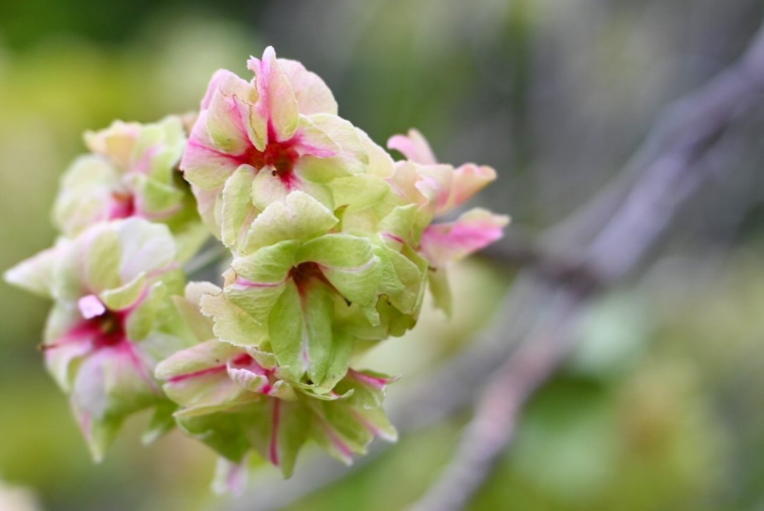 （株）銀宝堂　猫好き店主のいるお店（埼玉県熊谷市） tweet media