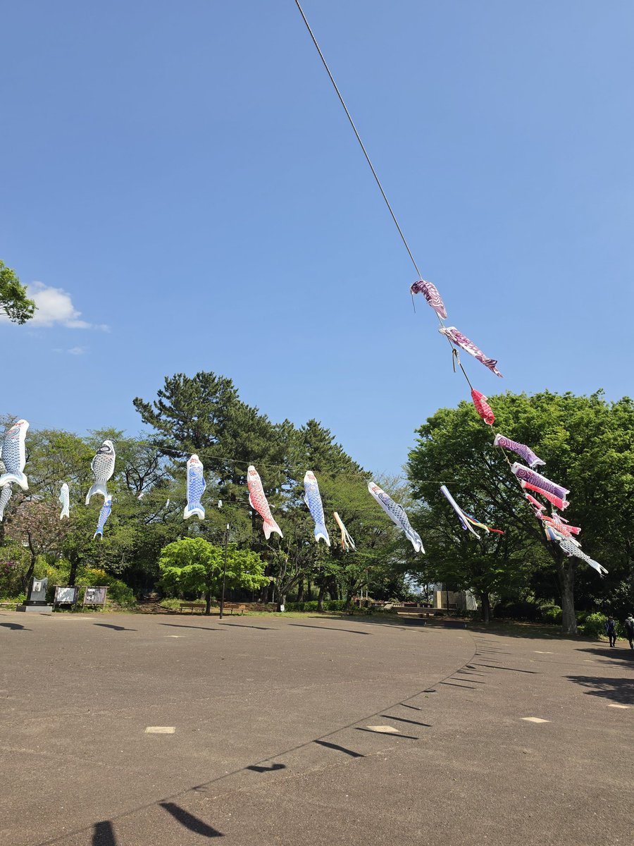 長友愛莉/Airi Nagatomo tweet media