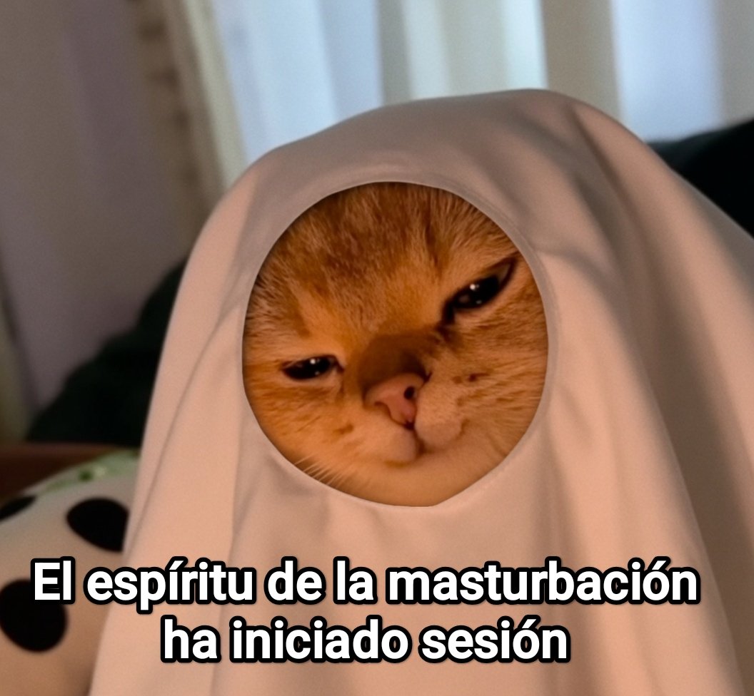 Cap Briagowsky tweet media