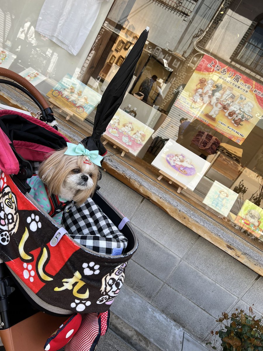 ☆な〜ちん☆ tweet media