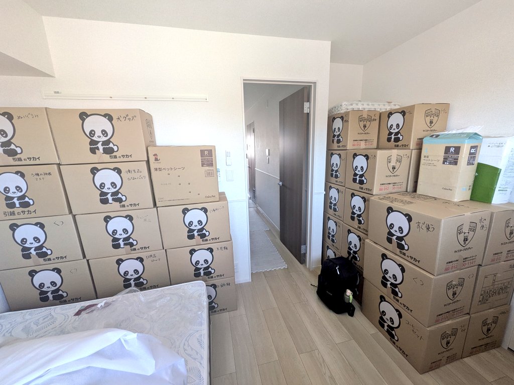 柴犬わさび＆くろ吉 tweet media