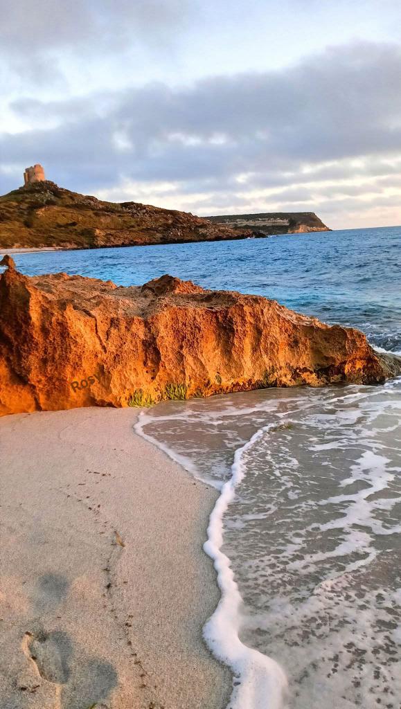 Tranquillo tweet media