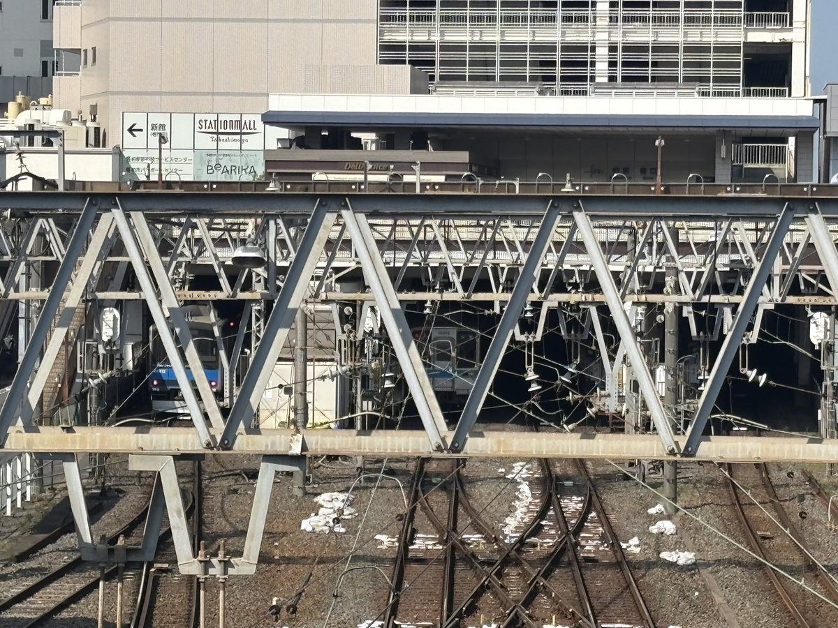 野田のはっせん tweet media